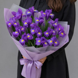 19 фиолетовых ирисов